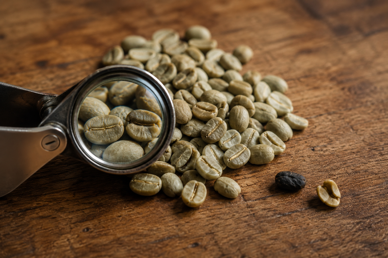 Green Coffee Grading: Defects, Density, and What '80+' Actually Means