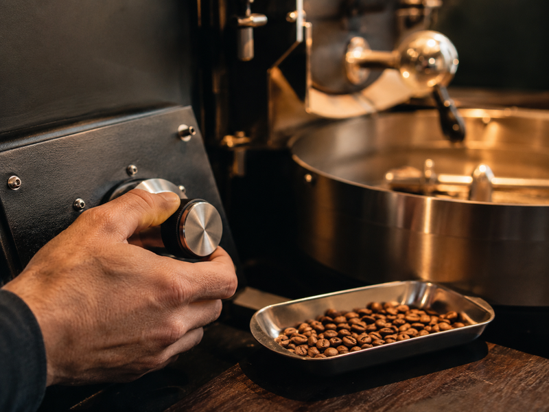 Roast Curves and Development Time: Control, Not Guesswork